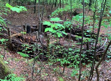 liechtenstein/triesenberg/attraction/naturlernpfad-triesenberg