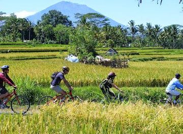 indonesia/bali/attraction/bali-eco-cycling