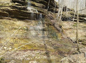 indiana/turkey-run-state-park/attraction/healthy-rivers-initiative-sugar-creek-conservation-area