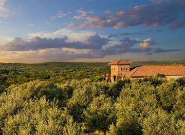 texas/austin/attraction/texas-hill-country-olive-co