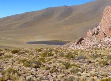 argentina/tilcara/attraction/laguna-colorada