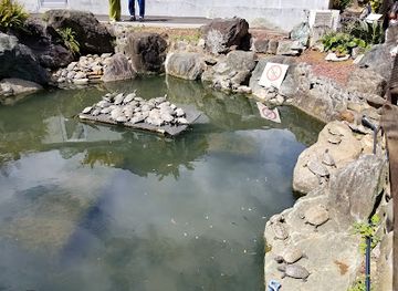 japan/izu/attraction/izoo