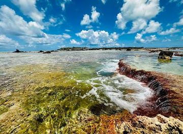 french-polynesia/rangiroa/attraction/the-reef-island