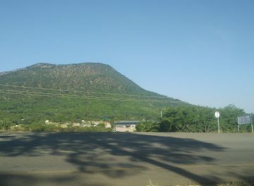 zambia/chipata/attraction/department-of-national-parks-and-wildlife-forest