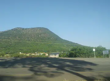Department of National Parks and Wildlife Forest
