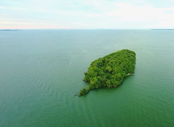 ohio/lake-erie-islands/attraction/mouse-island