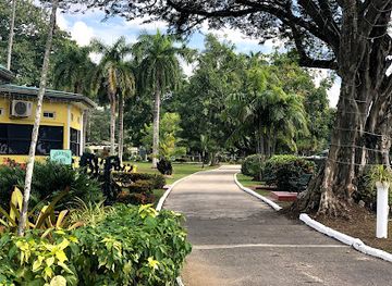 trinidad-and-tobago/port-of-spain/st-clair/attraction/royal-botanic-gardens