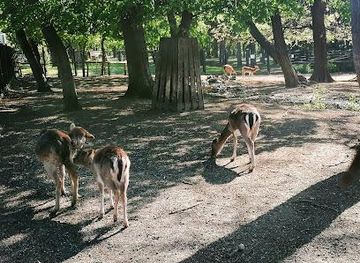 hungary/budapest/attraction/margaret-island-mini-zoo