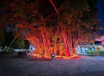 maldives/thoddoo/attraction/the-big-banyan-tree