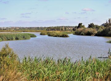 portugal/ria-formosa-natural-park/attraction/bird-watching-lagoa-dos-salgados