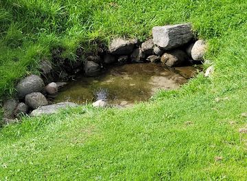 denmark/thy-national-park/attraction/the-holy-source