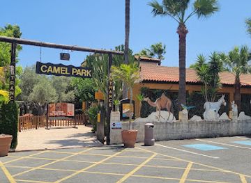 cyprus/limassol-district/attraction/camel-park