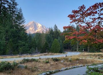 washington/mount-rainier-national-park/attraction/longmire-museum