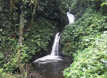 costa-rica/la-fortuna/attraction/monteverde