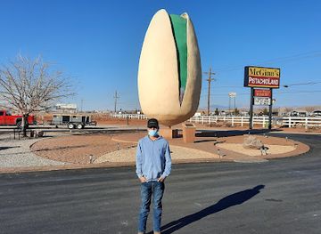 new-mexico/white-sands-national-park/attraction/mcginn-s-pistachioland-home-of-the-world-s-largest-pistachio