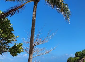 saint-vincent-and-the-grenadines/tobago-cays-marine-park/attraction/petit-rameau