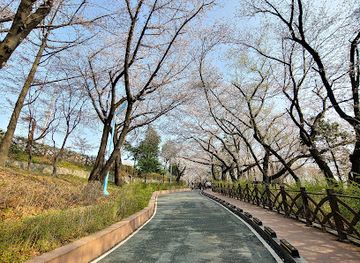 south-korea/incheon/attraction/subong-park