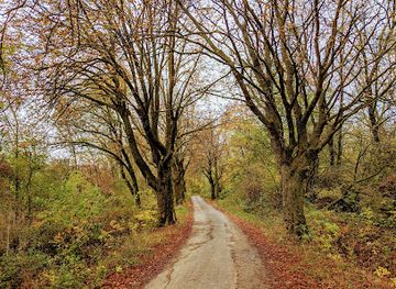hungary/szombathely/attraction/gesztenyes-allee