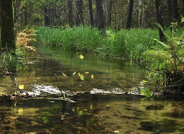 poland/suwalki/attraction/kamionka