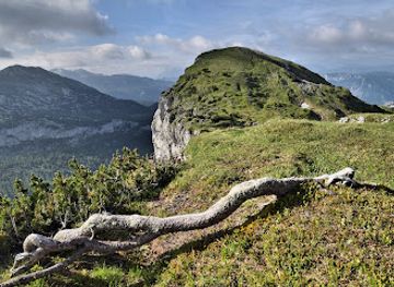 austria/salzkammergut/attraction/wildgossl