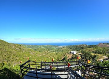 philippines/visayas/attraction/skywalk-calatrava