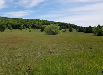 michigan/sleeping-bear-dunes-national-lakeshore/attraction/preserve-historic-sleeping-bear
