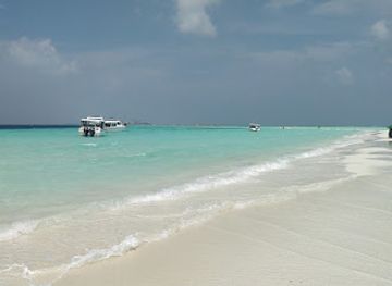maldives/gulhi-island/attraction/maafushi-corner-dive-site