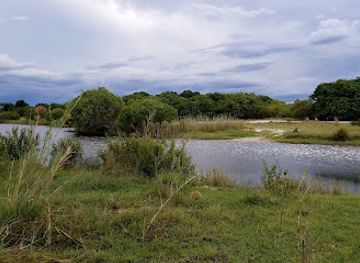 zambia/kasanka-national-park/attraction/liuwa-plain-national-park