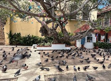 puerto-rico/carolina/attraction/parque-de-las-palomas