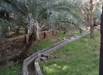 united-arab-emirates/eastern-region-al-sharqiyah/attraction/mutaredh-oasis