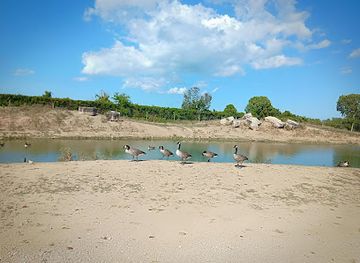 ohio/lake-erie-islands/attraction/african-safari-wildlife-park