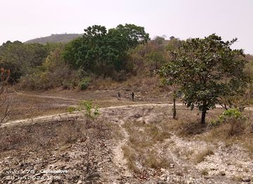 togo/plateaux-region/attraction/likpe-todome