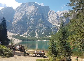 italy/alta-via-1/attraction/inizio-sentiero-per-malga-foresta