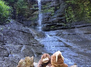 pennsylvania/allegheny-national-forest/attraction/fall-run-park