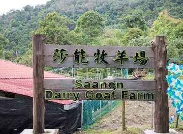 malaysia/george-town/attraction/saanen-dairy-goat-farm