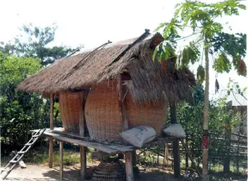 ban naouan