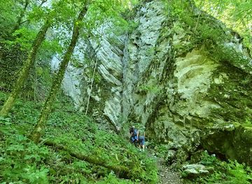 romania/caras-severin/attraction/pestera-comarnic