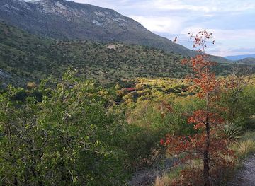 arizona/huachuca-mountains/attraction/joe-s-canyon-trailhead