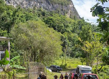 puerto-rico/camuy-river-cave-park/attraction/cueva-ensueno-dream-cave
