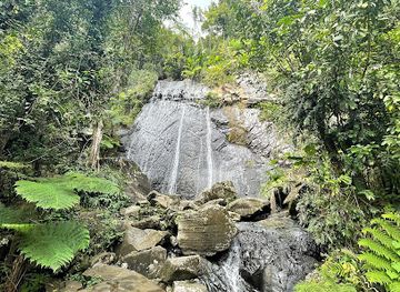 puerto-rico/el-yunque-national-forest/attraction/la-coca-falls