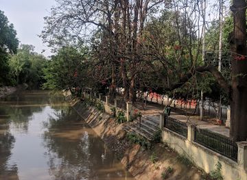 india/jammu/shastri-nagar/attraction/rajender-park