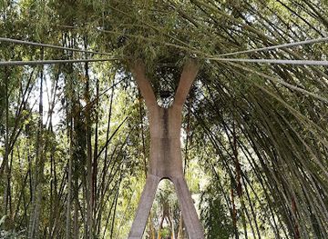 colombia/quindio-department/attraction/suspension-bridge