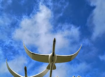 ireland/causeway-coastal-route/attraction/ballycastle-museum