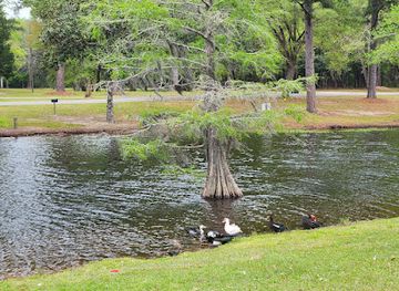 alabama/tombigbee-river/attraction/live-oak-landing-forever-wild-tract