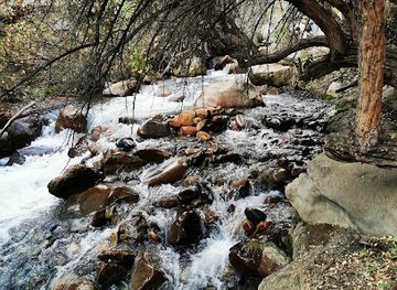 chile/metropolitan-region-of-santiago/attraction/parque-yerba-loca