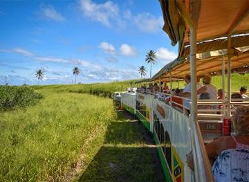 saint-kitts-and-nevis/basseterre/attraction/st-kitts-scenic-railway