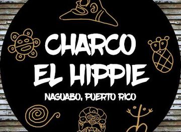 puerto-rico/caguas/attraction/charco-el-hippie