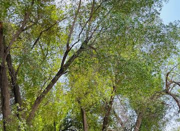 kuwait/kuwait-zoo/attraction/garden-for-all-people