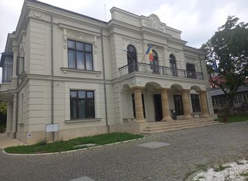 romania/iasi/attraction/romanian-literature-museum-pogor-memorial-house