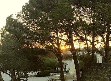 israel/hod-hasharon/attraction/public-park